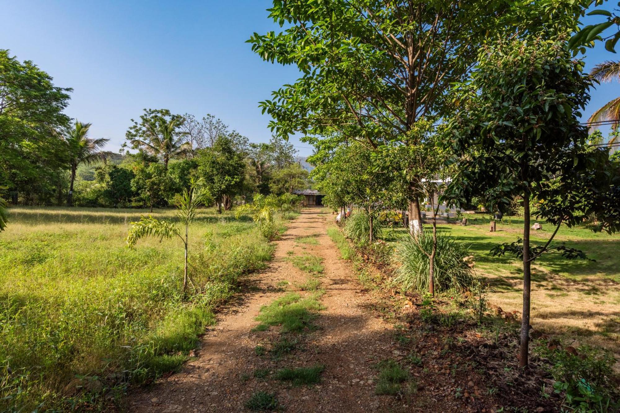 Saffronstays Lakeview Nivara - Farm Stay Villa With Private Pool Near Пюн Екстериор снимка